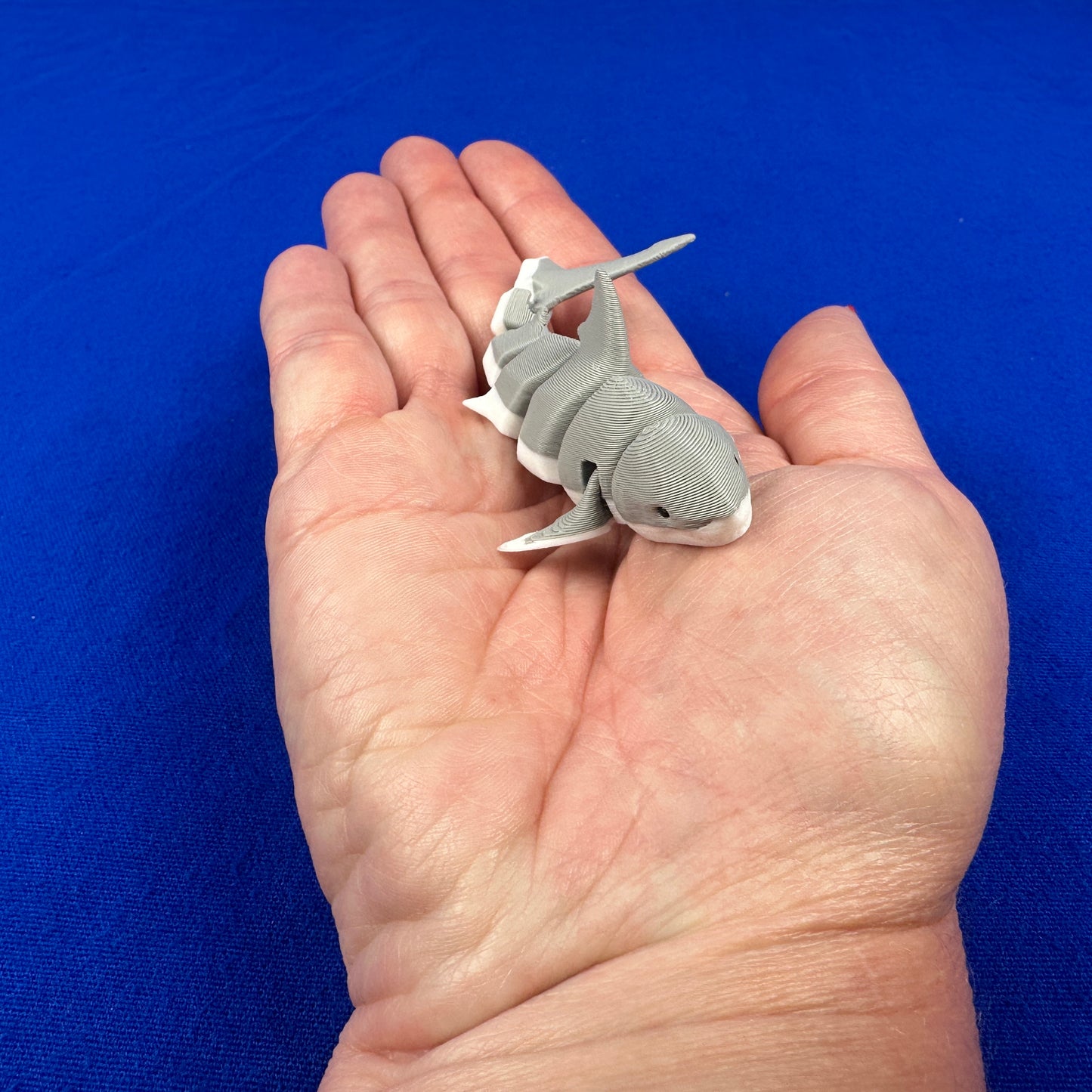 Miniature Aquatic Creature Set – Hand-Finished 3D-Printed Ocean & Freshwater Friends (Set of 8)