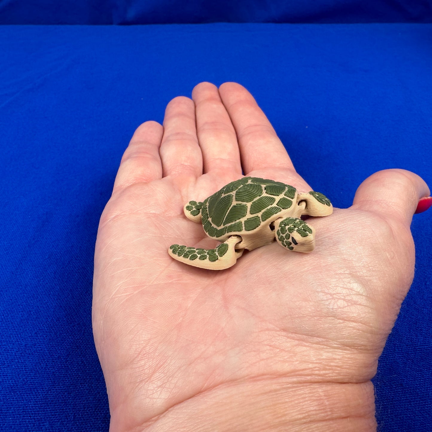 Miniature Aquatic Creature Set – Hand-Finished 3D-Printed Ocean & Freshwater Friends (Set of 8)