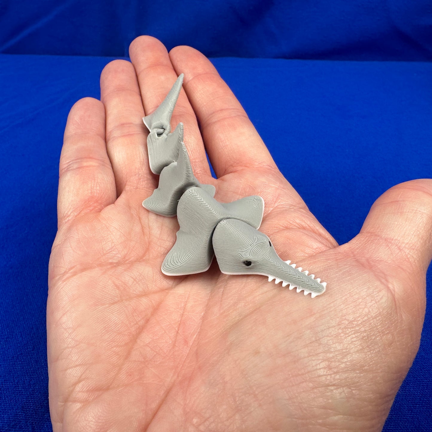 Miniature Aquatic Creature Set – Hand-Finished 3D-Printed Ocean & Freshwater Friends (Set of 8)