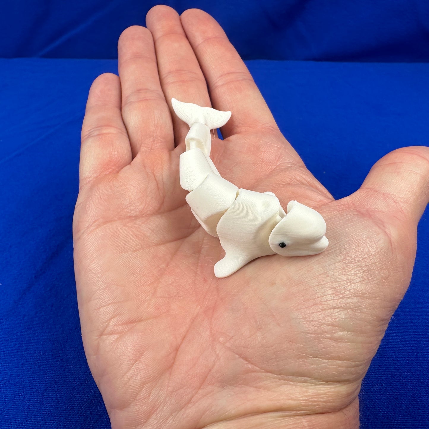 Miniature Aquatic Creature Set – Hand-Finished 3D-Printed Ocean & Freshwater Friends (Set of 8)