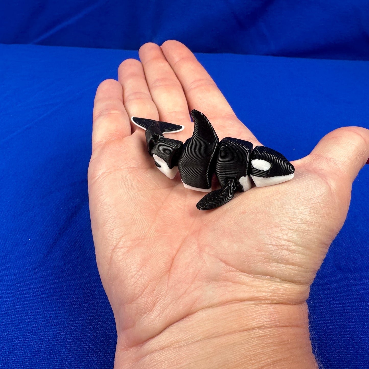 Miniature Aquatic Creature Set – Hand-Finished 3D-Printed Ocean & Freshwater Friends (Set of 8)