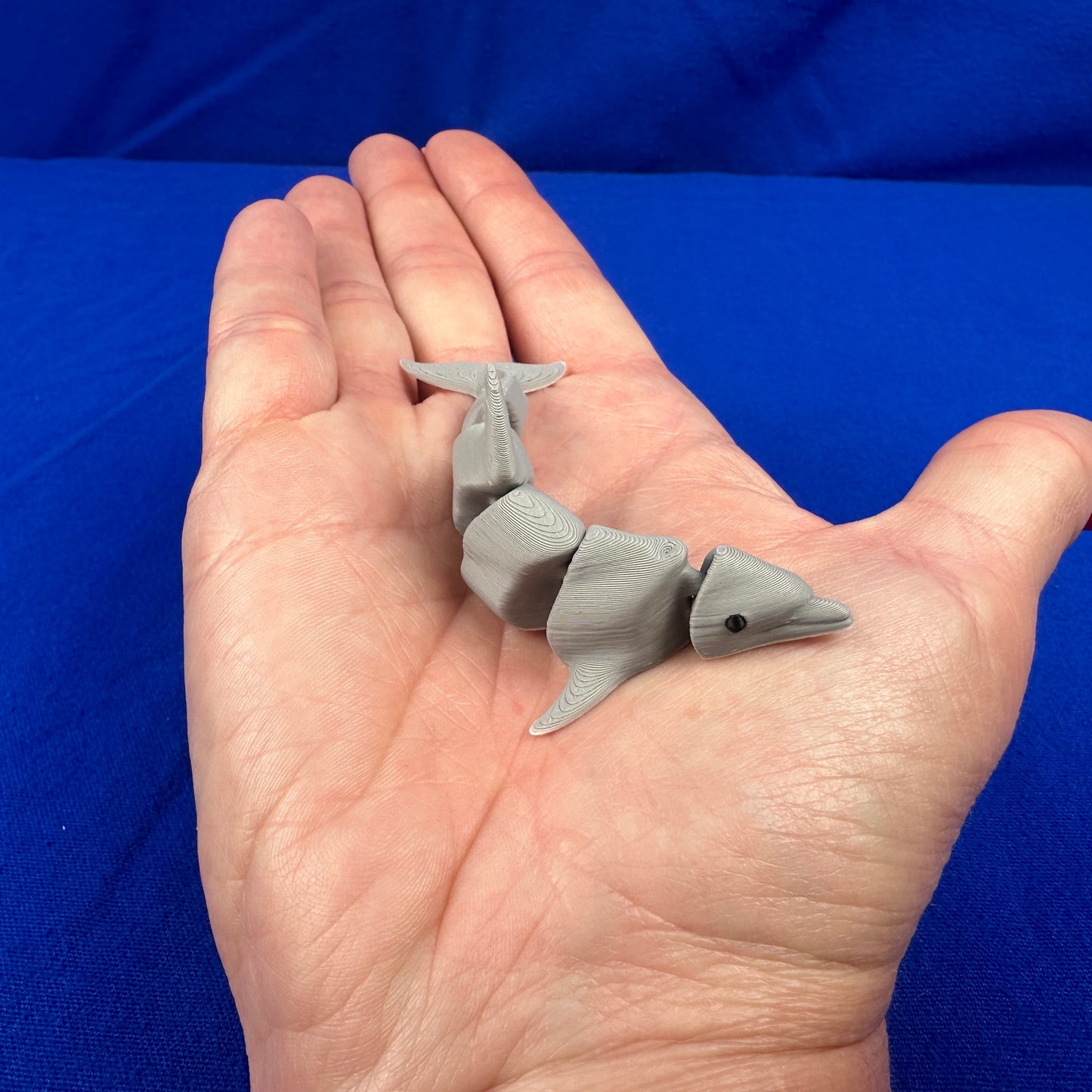 Miniature Aquatic Creature Set – Hand-Finished 3D-Printed Ocean & Freshwater Friends (Set of 8)