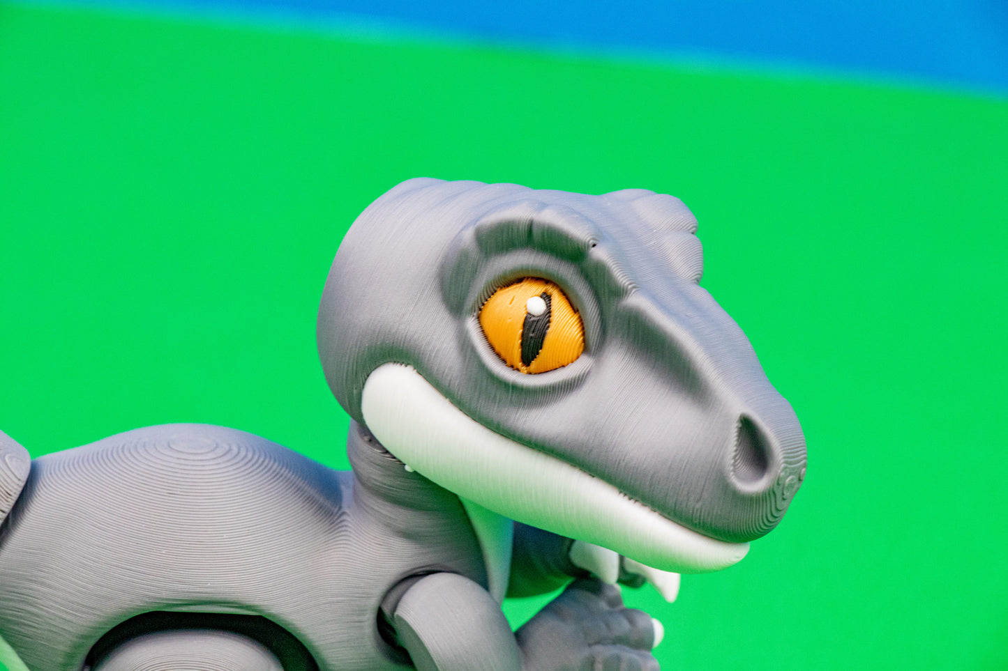 Velociraptor Figure – Articulated Dinosaur Collectible