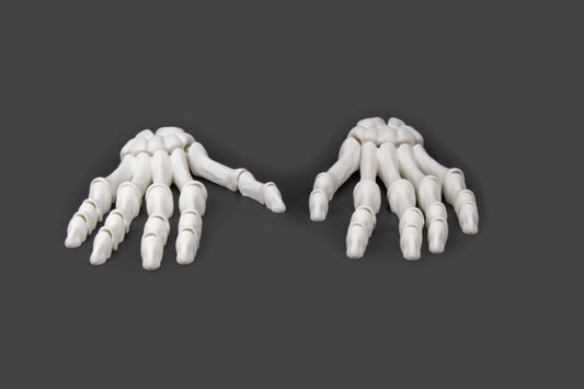 3D-Printed Skeletal Hand – Articulated Bone-White Desk Companion