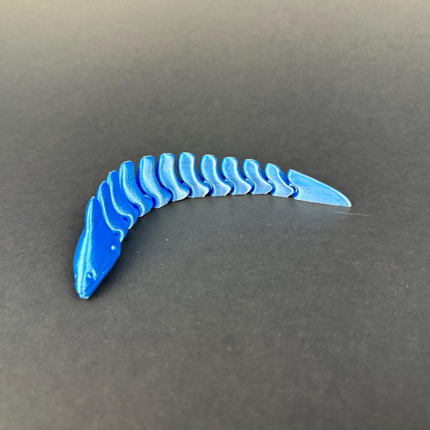 Moray Eel – Articulated 3D-Printed Ocean Display Piece