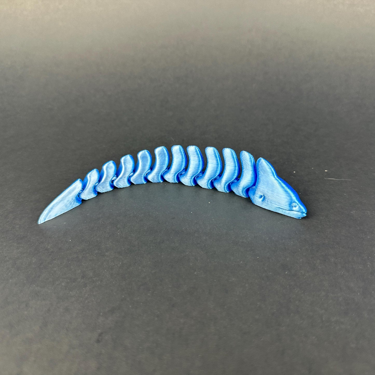 Moray Eel – Articulated 3D-Printed Ocean Display Piece