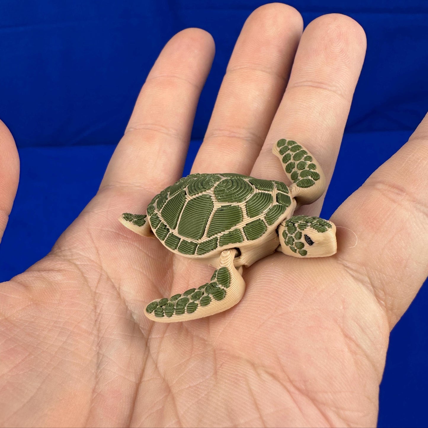 Sea Turtle โ Collectible with Ocean Charm - Articulating & 3D Printed