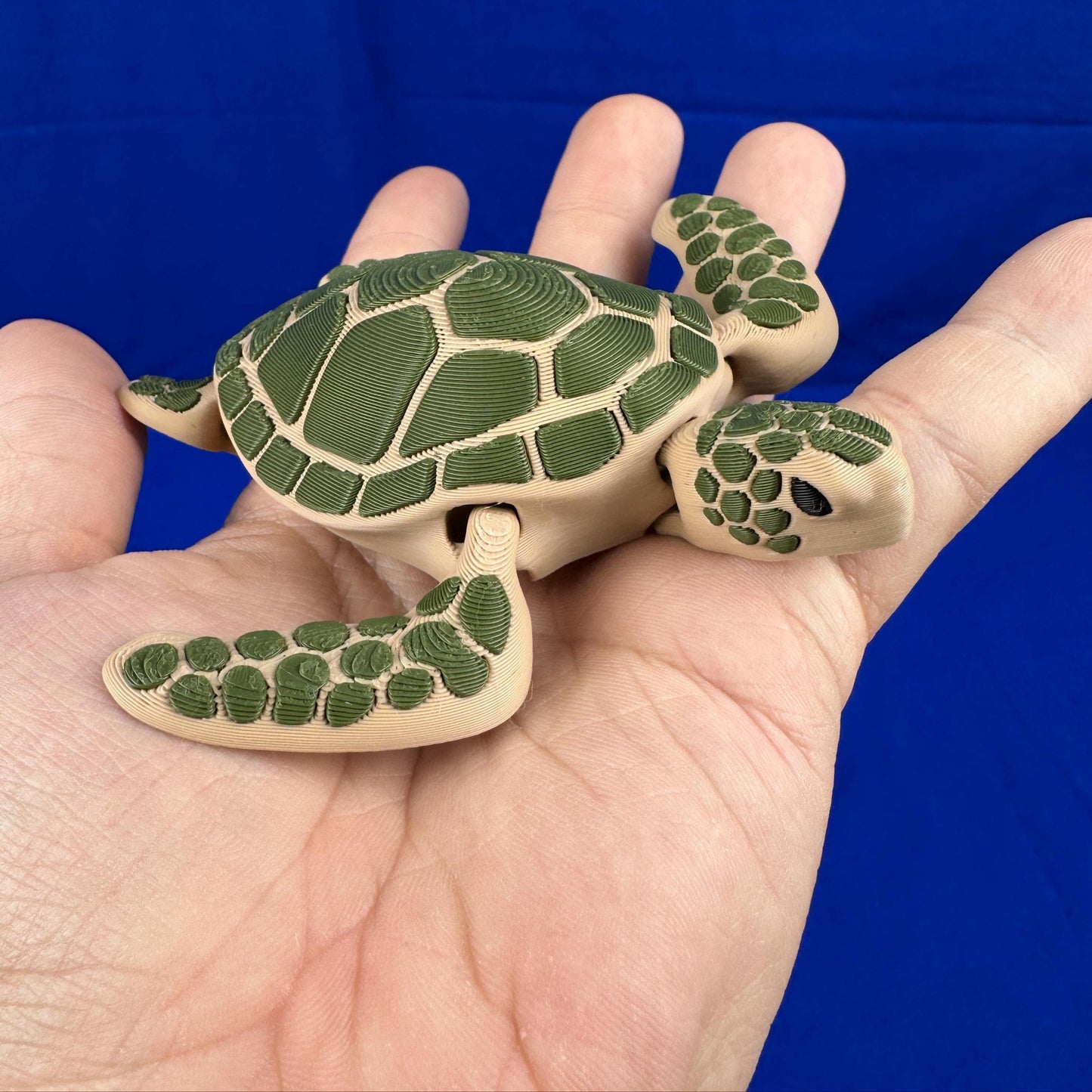 Sea Turtle โ Collectible with Ocean Charm - Articulating & 3D Printed