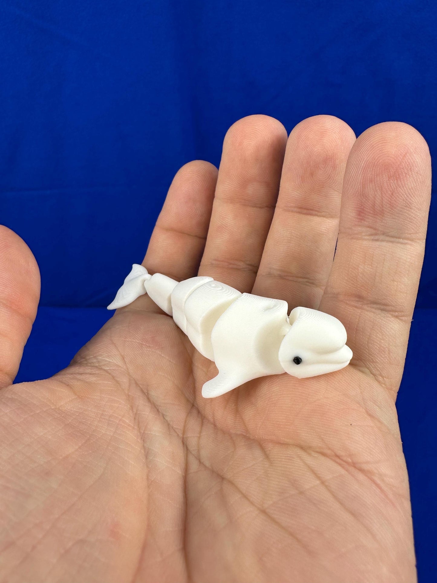 Beluga Whale Figurine – Articulated Ocean Decor | 3D Printed