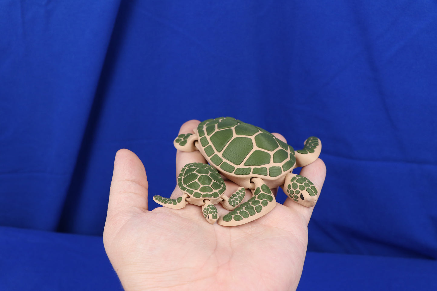 3D-Printed Articulated Sea Creatures – Poseable Ocean Animal Figures