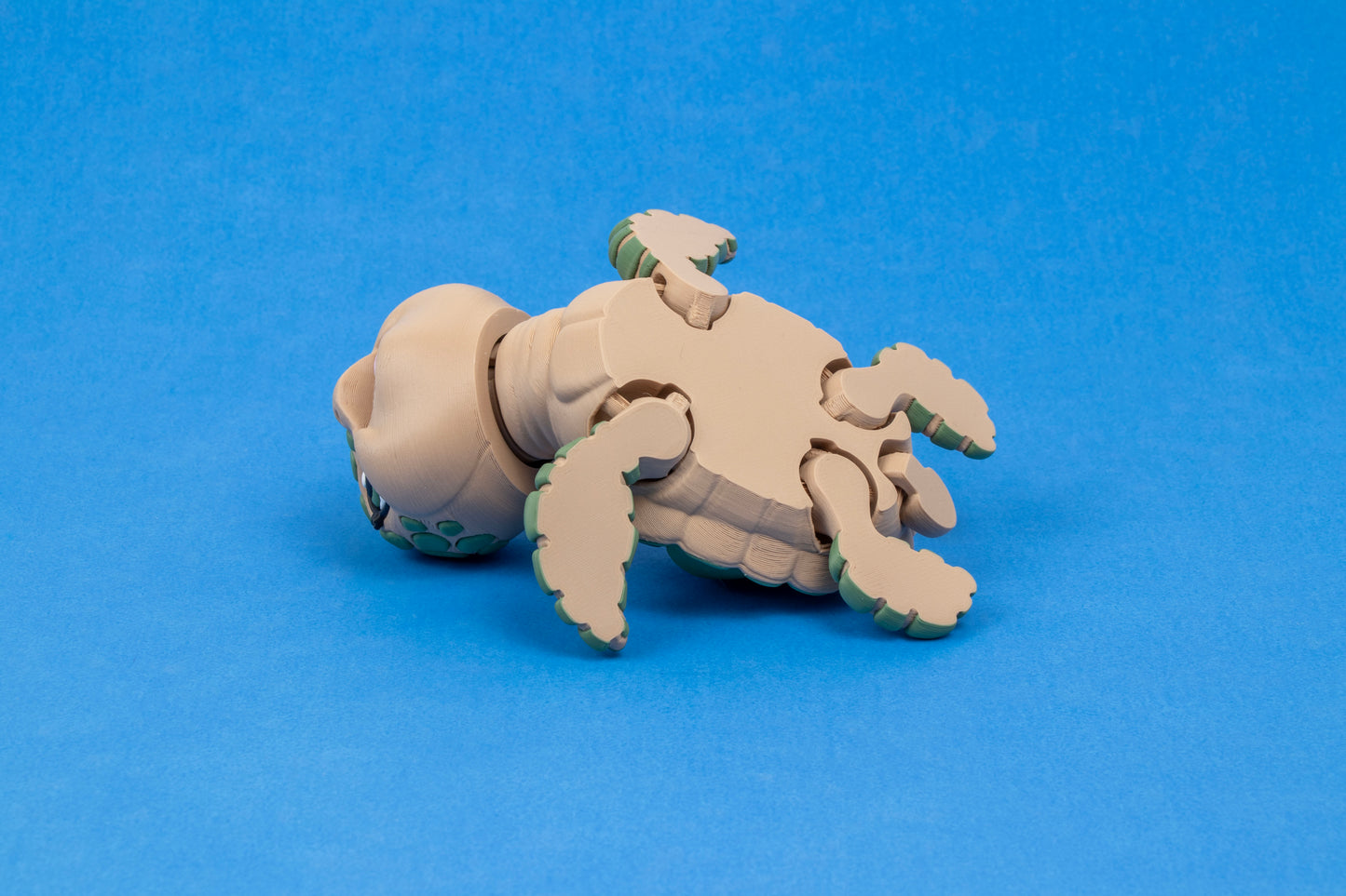 Shell Whisperer: 3D‑Printed Articulated Sea Turtle Décor