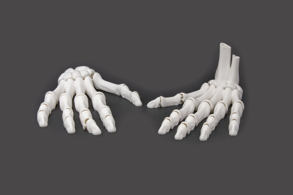 3D-Printed Skeletal Hand – Articulated Bone-White Desk Companion