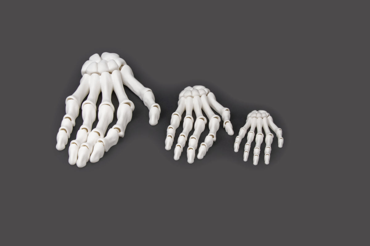 3D-Printed Skeletal Hand – Articulated Bone-White Desk Companion