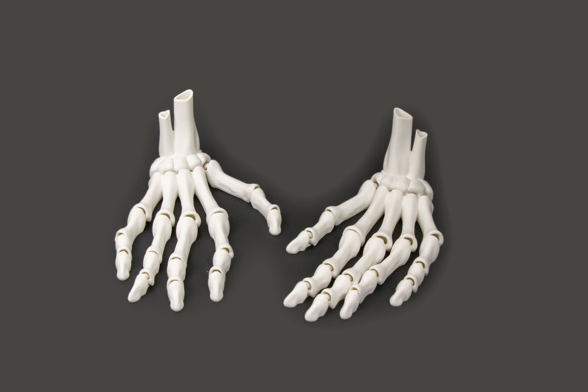 3D-Printed Skeletal Hand – Articulated Bone-White Desk Companion
