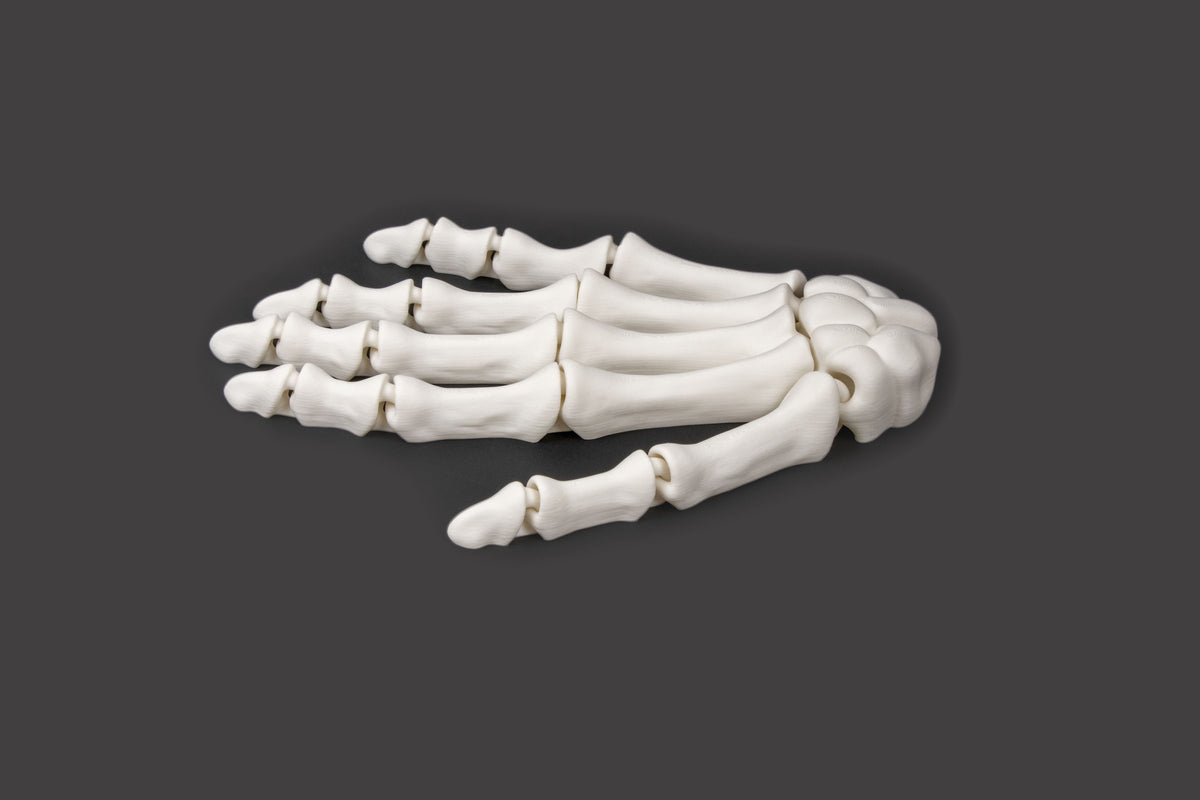 3D-Printed Skeletal Hand – Articulated Bone-White Desk Companion