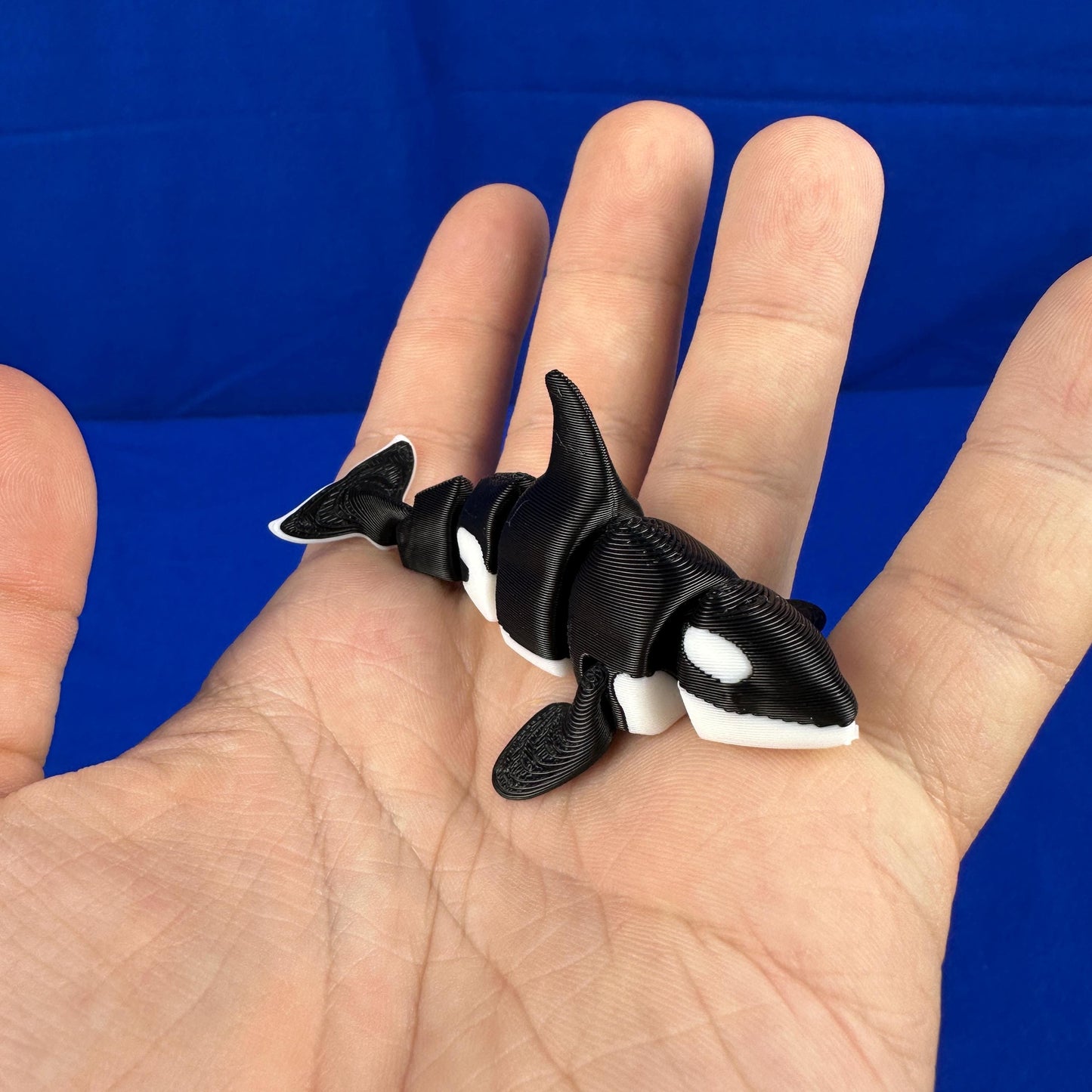 Orca Whale Display Piece – Articulated Ocean Decor | 3D Printed & Hand-Finished