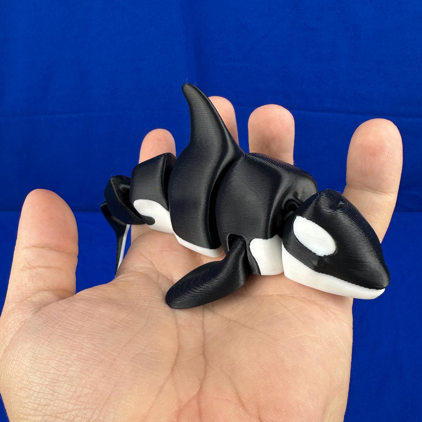 Orca Whale Display Piece – Articulated Ocean Decor | 3D Printed & Hand-Finished