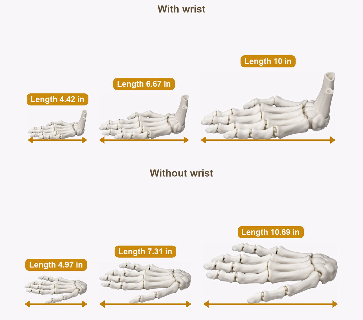 3D-Printed Skeletal Hand – Articulated Bone-White Desk Companion